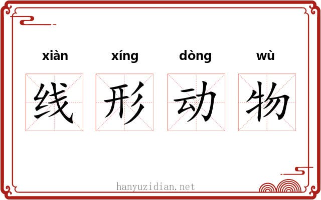 线形动物