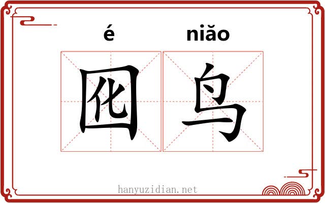 囮鸟