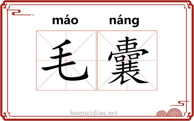 毛囊 毛囊