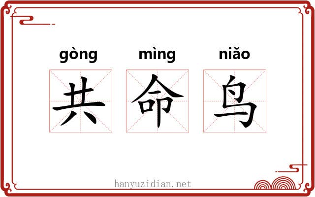 共命鸟 共命鸟