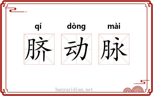脐动脉 脐动脉