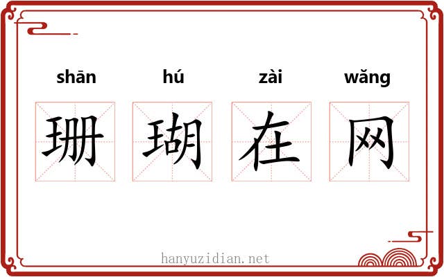 珊瑚在网 珊瑚在网