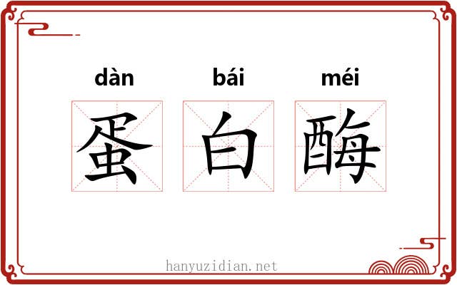 蛋白酶