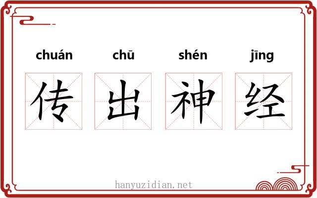 传出神经 传出神经