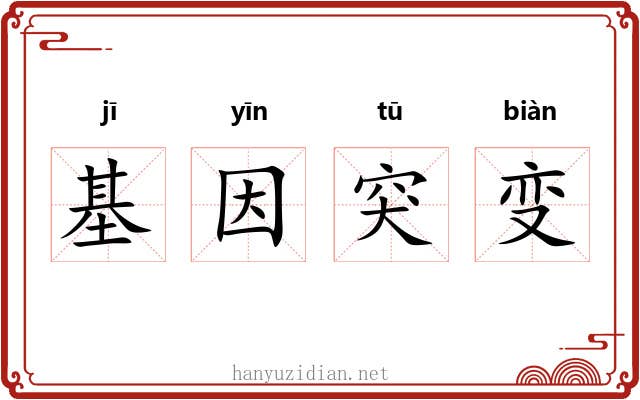 基因突变 基因突变