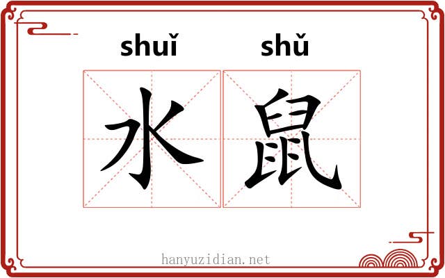 水鼠 水鼠