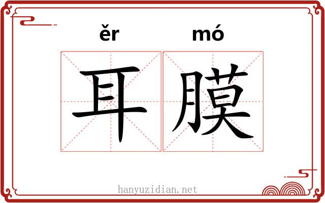 耳膜 耳膜