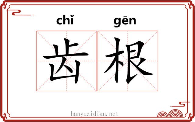 齿根