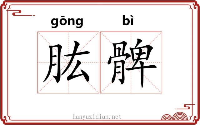 肱髀