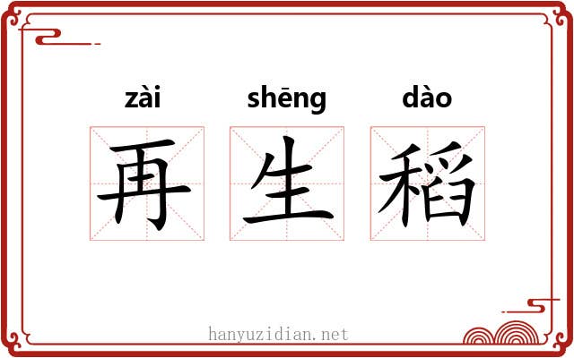 再生稻