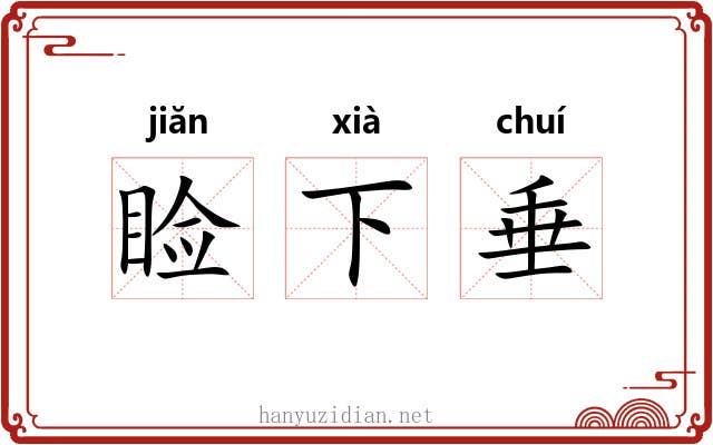 睑下垂 睑下垂