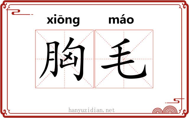 胸毛 胸毛