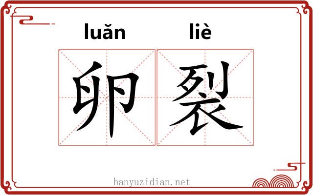 卵裂