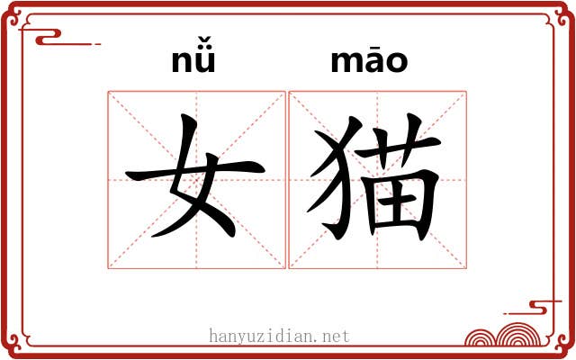 女猫