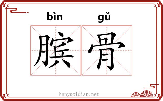膑骨 膑骨
