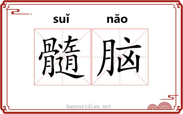 髓脑