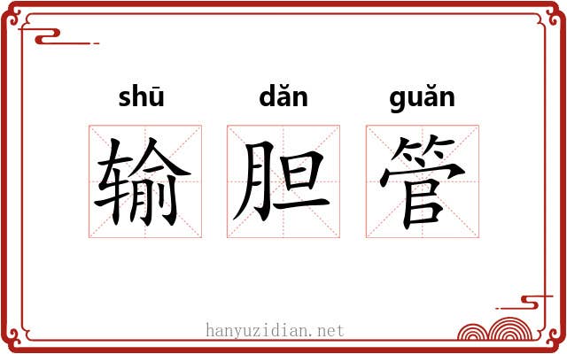 输胆管 输胆管