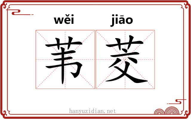苇茭