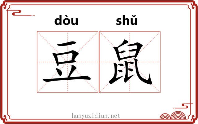 豆鼠 豆鼠