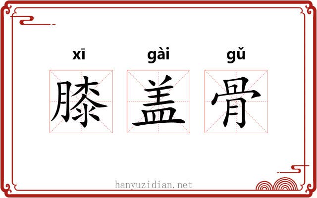 膝盖骨 膝盖骨