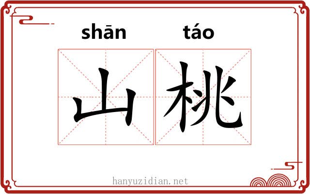 山桃