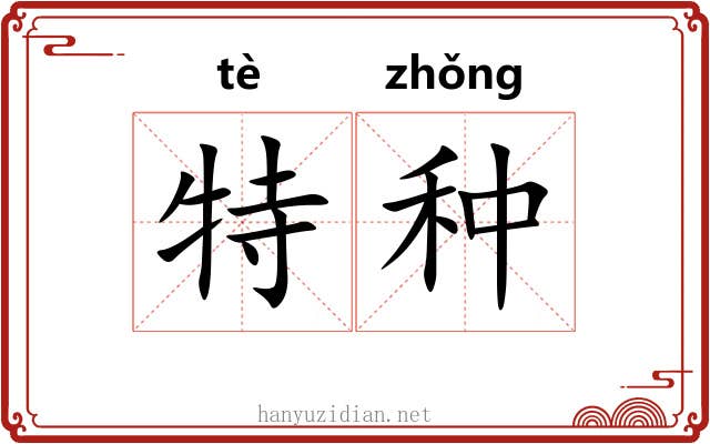 特种