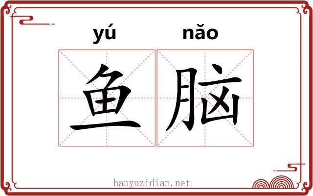鱼脑 鱼脑