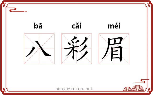 八彩眉 八彩眉