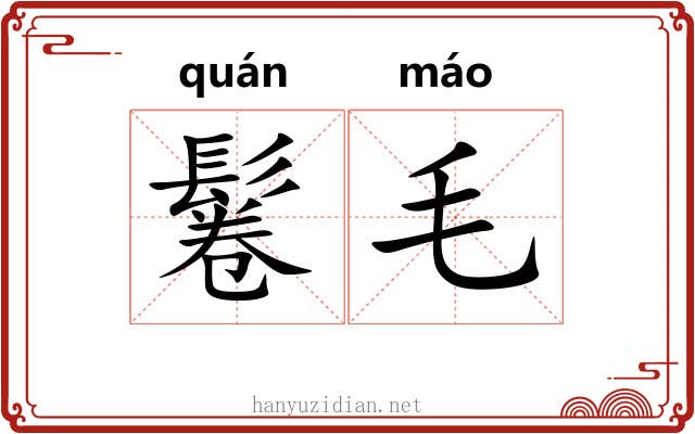 鬈毛
