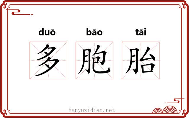 多胞胎 多胞胎