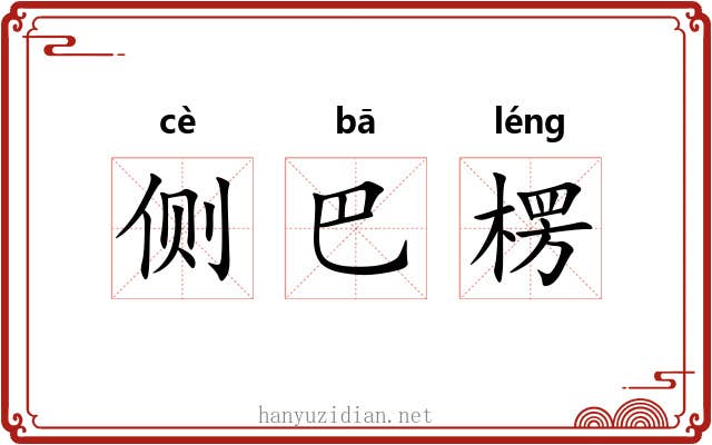 侧巴楞