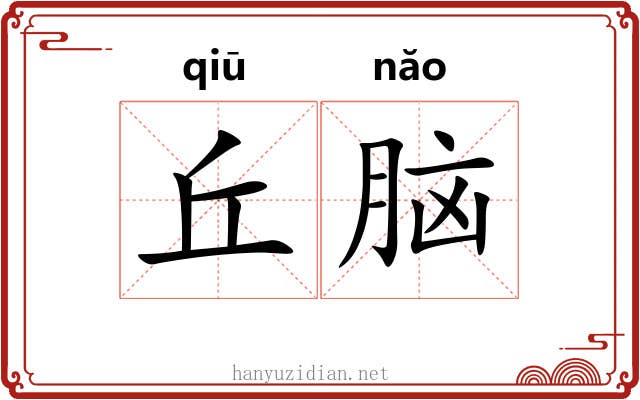 丘脑 丘脑