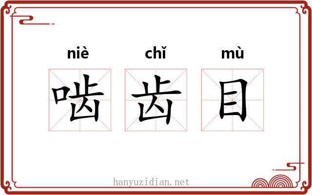 啮齿目 啮齿目
