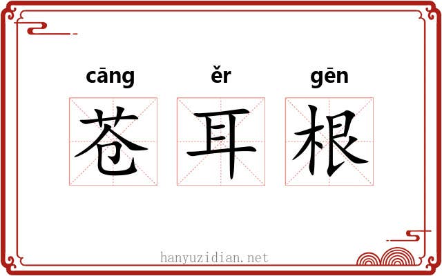 苍耳根 苍耳根