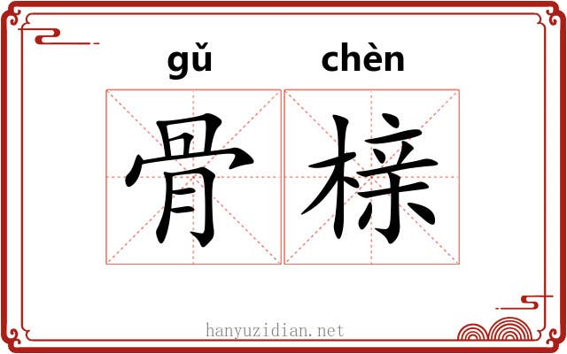骨榇 骨榇