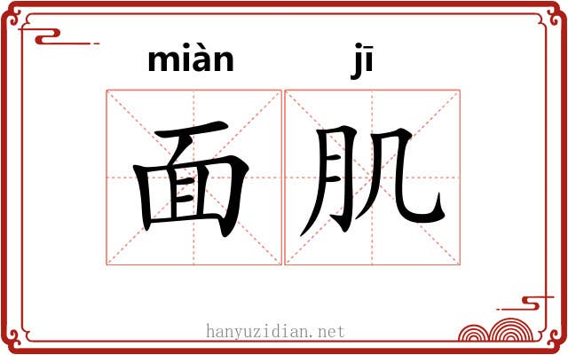 面肌 面肌