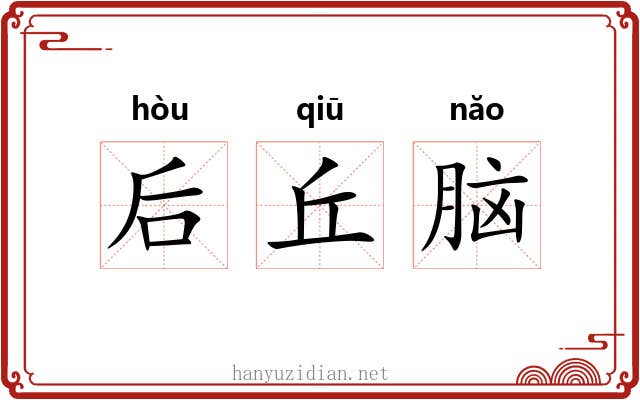 后丘脑 后丘脑