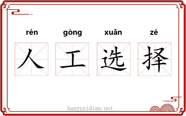 人工选择 人工选择