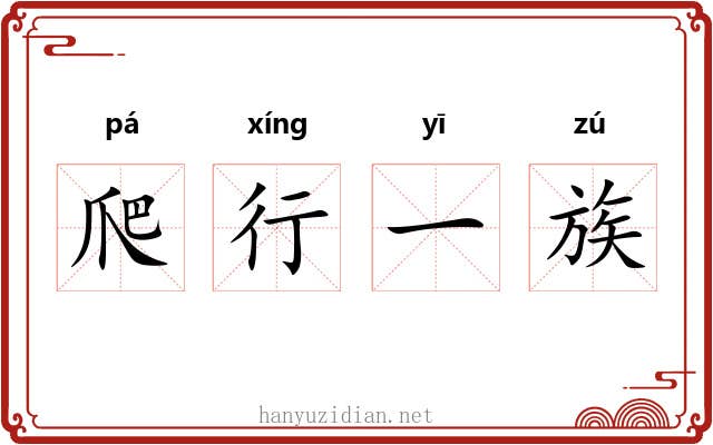 爬行一族 爬行一族