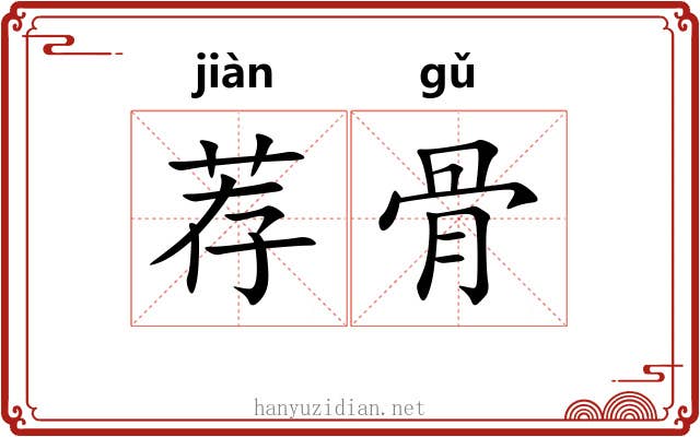 荐骨 荐骨