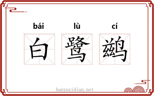 白鹭鹚 白鹭鹚