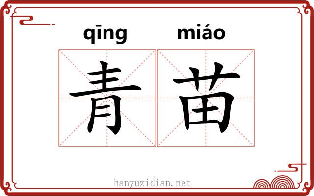 青苗 青苗