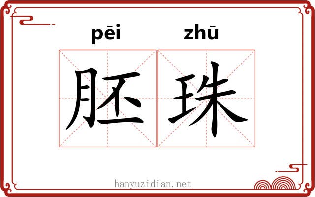 胚珠