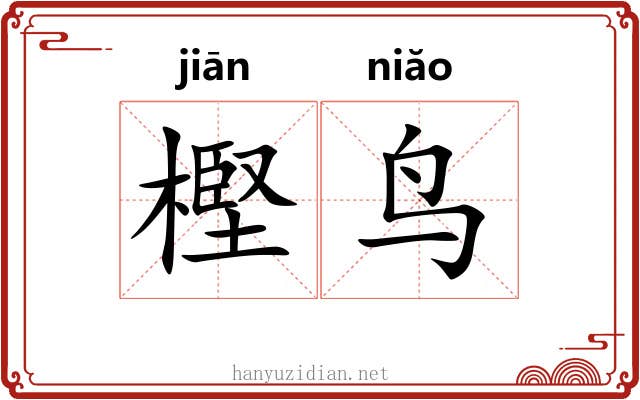 樫鸟