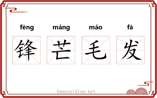 锋芒毛发