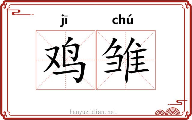 鸡雏