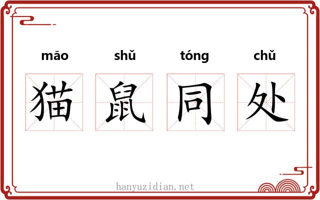 猫鼠同处 猫鼠同处