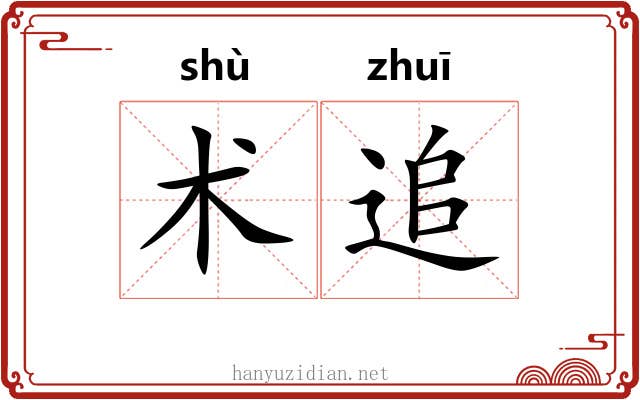 术追 术追