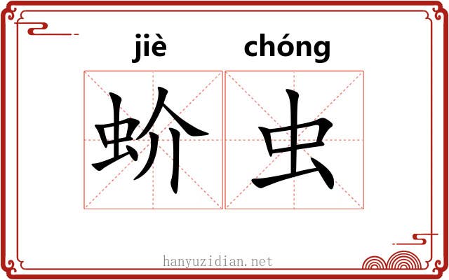 蚧虫