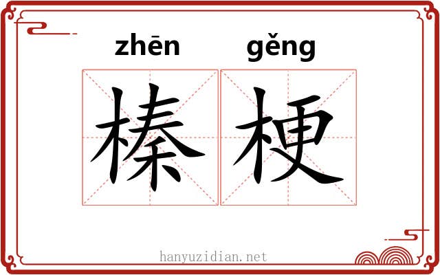 榛梗
